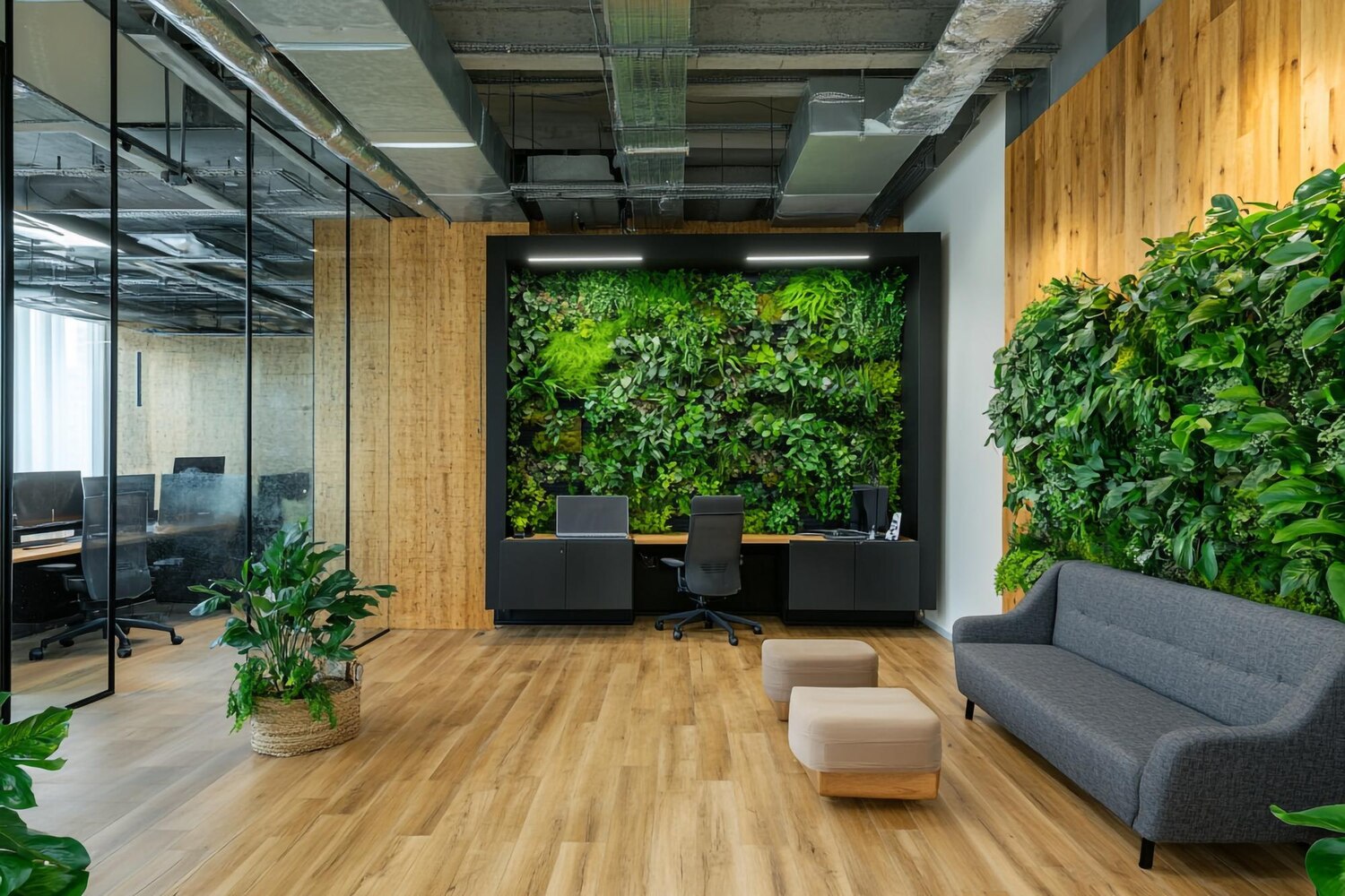 Modern Living Room